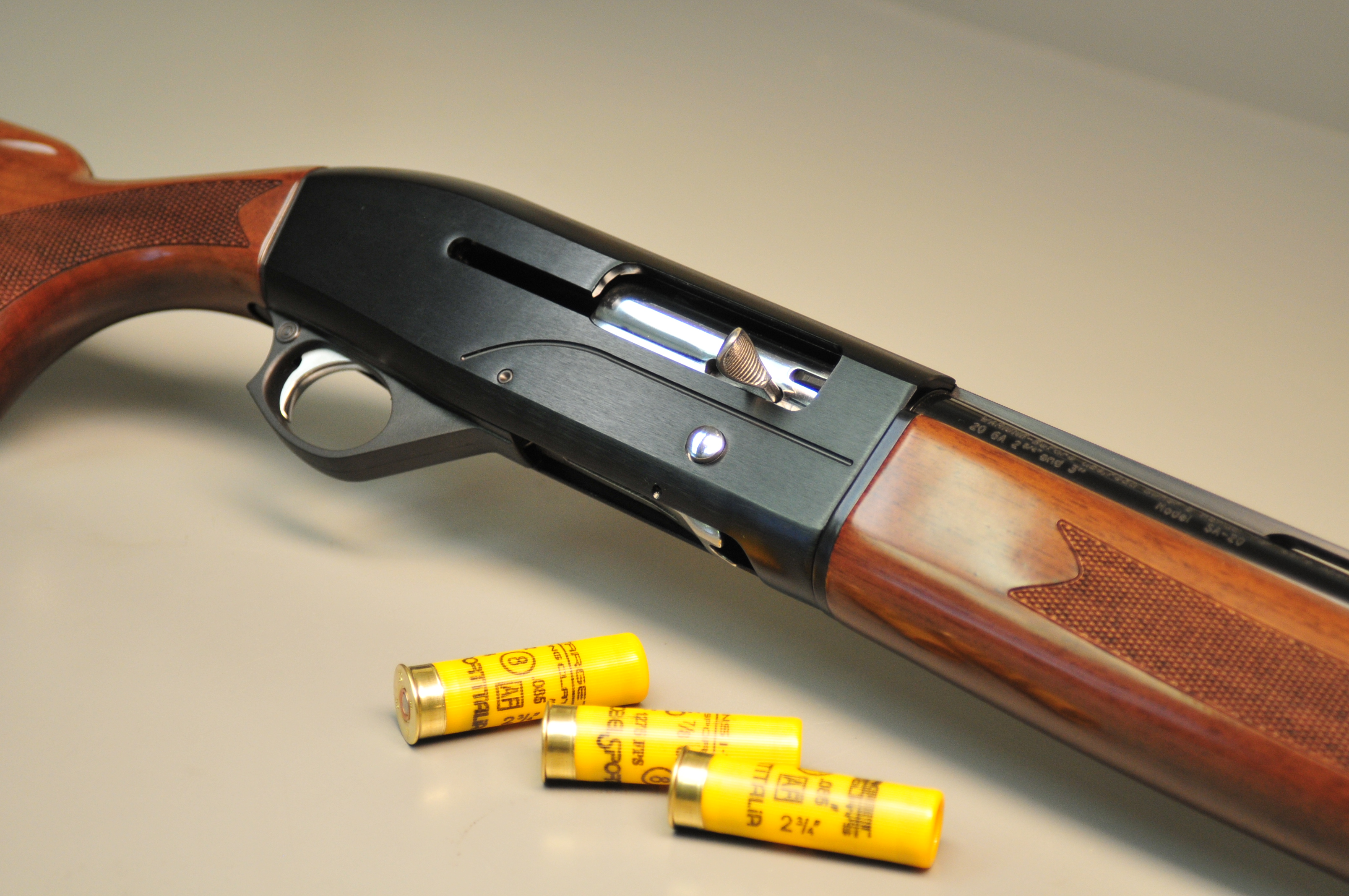 Gun TEST – Mossberg International SA-20